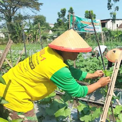 Berita hari ini terkini terbaru Madiun dan Ngawi-Gado Gado Bosbow, Ubah lahan tidur menjadi produktif