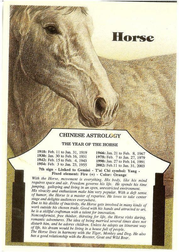 Гороскоп лошади на 2024 год мужчина. Лошадь гороскоп. Белая лошадь гороскоп. Лошадь гороскоп характеристика. Лошадь - китайская астрология.