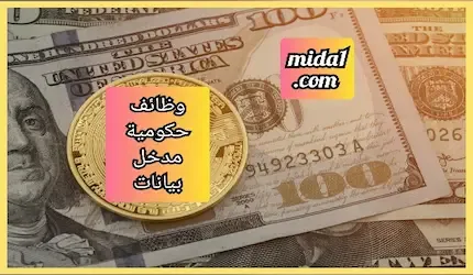 وظائف حكومية مدخل بيانات