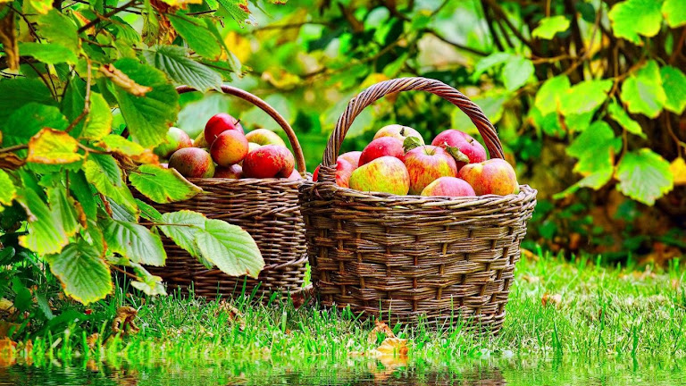 Delicious Apple HD Wallpaper 4