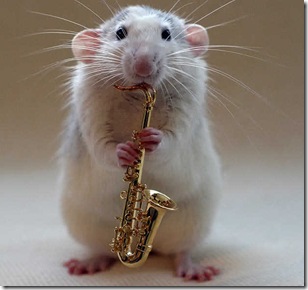 Sax_1448658i