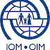 Job Opportunity at International Organization for Migration, Intern (Counter Trafficking)