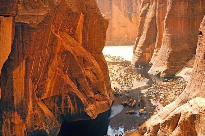  Guelta d'Archei, oc dao la lung cua sa mac
