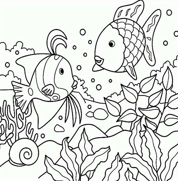 Kumpulan Sketsa Gambar  Mewarnai Binatang  Laut  Untuk Anak 