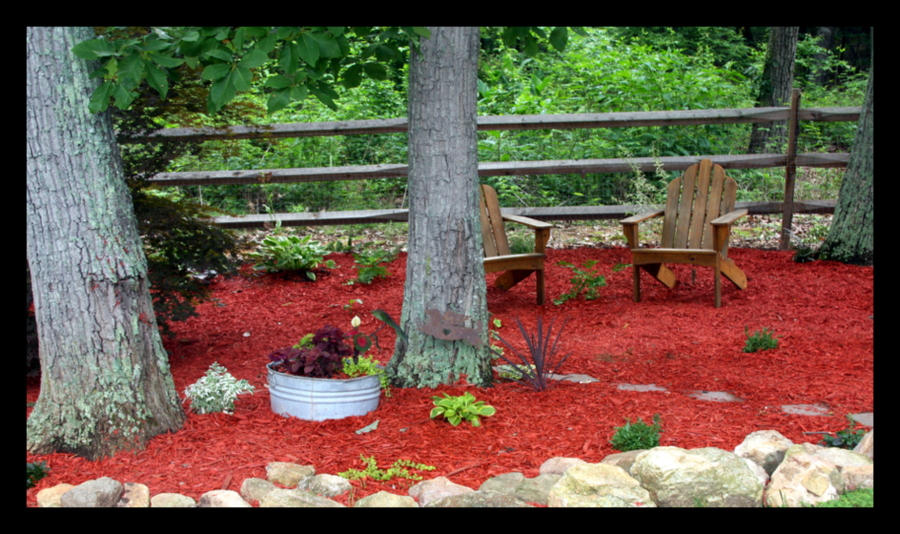Be Still a Minute...: Red Mulch, a Black Snake, and a Brown Bird