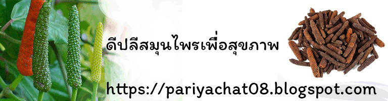 ดีปลีสมุนไพรเพื่อสุขภาพ