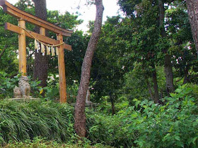 wooden torri,shisa,shrine