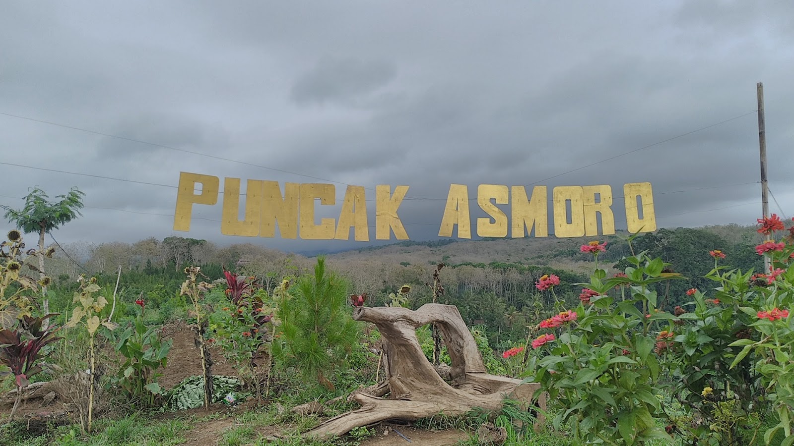 Semaunya Wisata Pemandangan Puncak Asmoro Banyuwangi