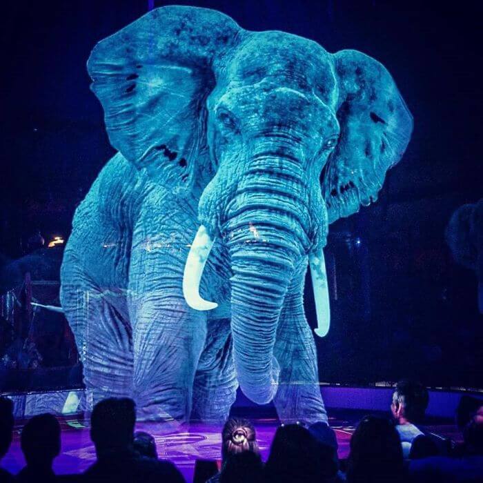 Circus In Germany Uses Holograms Instead Of Live Animals To Raise Awareness Against Animal Cruelty