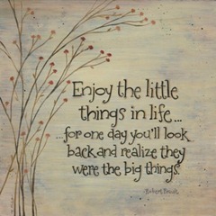 enjoy the little things