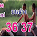 เก่า-ใหม่ หวยควายนำโชค งวด 16 กันยายน 2566