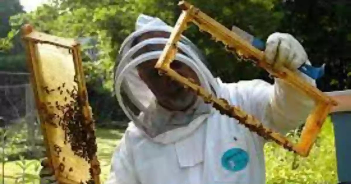 मधुमक्खी पालन के लाभ