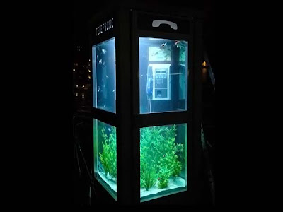 Telephone Booth Aquarium Seen On www.coolpicturegallery.net