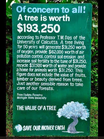 Monetary Worth of a Tree