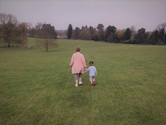 Mother and son walking hand in hand over a field