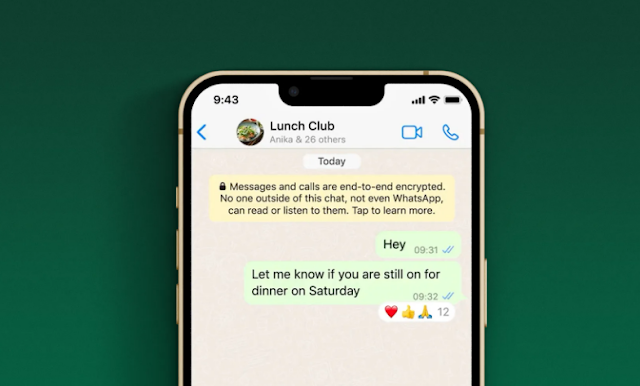 WhatsApp will allow you to React to Messages by any Emoji