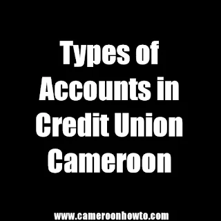 Types of accounts in Credit Union In Cameroon