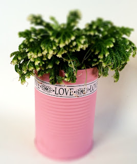 Plant pot made from an upcycled tin