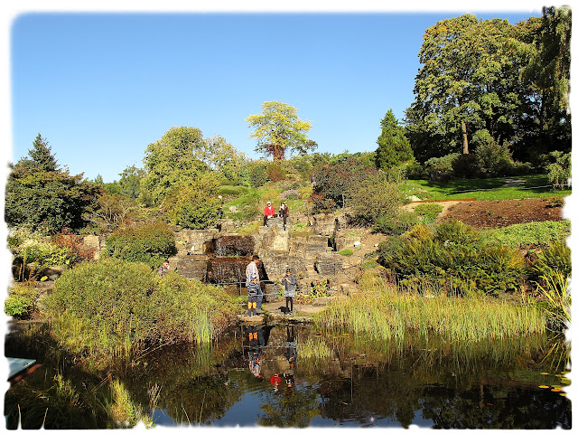 Dammen i Fjellhagen i Botanisk hage på Tøyen i Bydel Gamle Oslo.