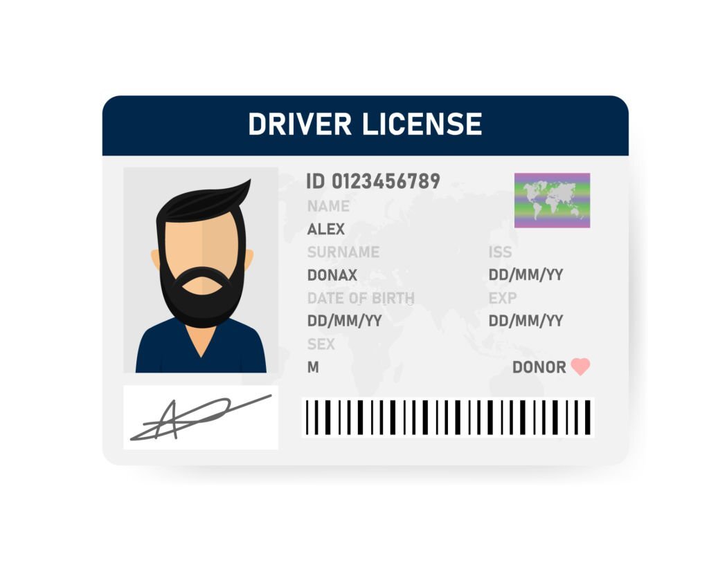 fake driver's licenses