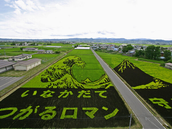 18 Fields That Are Real Works Of Art