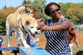 Woman with dog on agility course