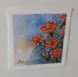 Rosa, sant jordi, aquarel.la, watercolor