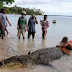 18-foot crocodile caught in Tawi-Tawi