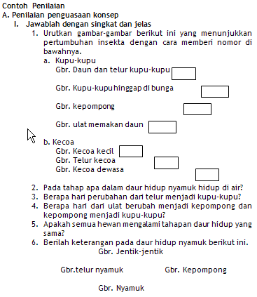 Contoh Soalan Spm Ulangan Bahasa Inggeris - Soalan ad