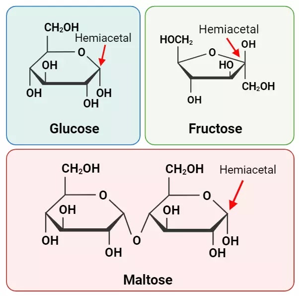 What Does Reducing Sugar Mean | Definition | Explanation | Examples | Tests