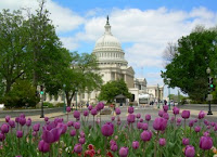 Capitol Washington tulips propaganda