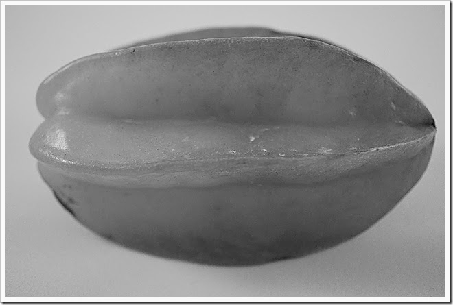 public-domain-pictures-star-fruit-1 (1622) public-domain-pictures-star-fruit-1 (1622)
