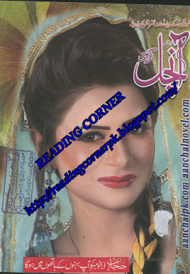 Aanchal Digest November 2015 pdf