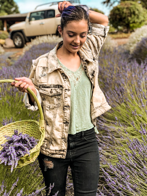 lavender festival oregon