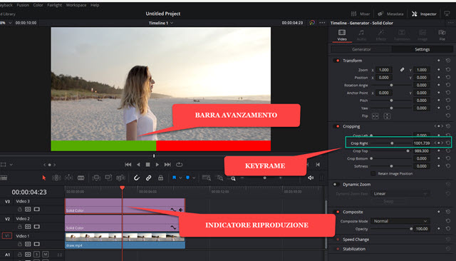 barra di avanzamento su davinci resolve