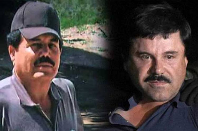 "El Blanquedador" hunde a El Chapo Guzman y se lleva entre las "patas a "El Mayo Zambada"