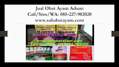 Obat Ayam Injeksi, Obat Ayam Jago Aduan, Obat Ayam Jago Bangkok Ngorok, Obat Ayam Jago Berak Hijau, Obat Ayam Jago Biar Berani