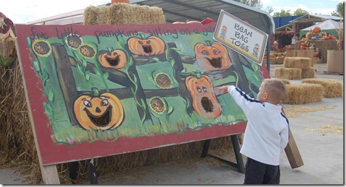 Galloping Grace Pumpkin Patch 104