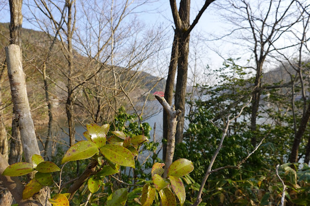 鳥取県日野郡日南町菅沢　ダム公園