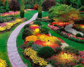 jardin-con-flores