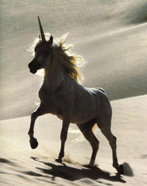 Legenda Unicorn, Benarkah Ada..? [ www.BlogApaAja.com ]