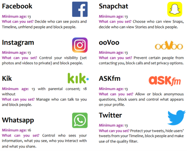 Social Media Networks