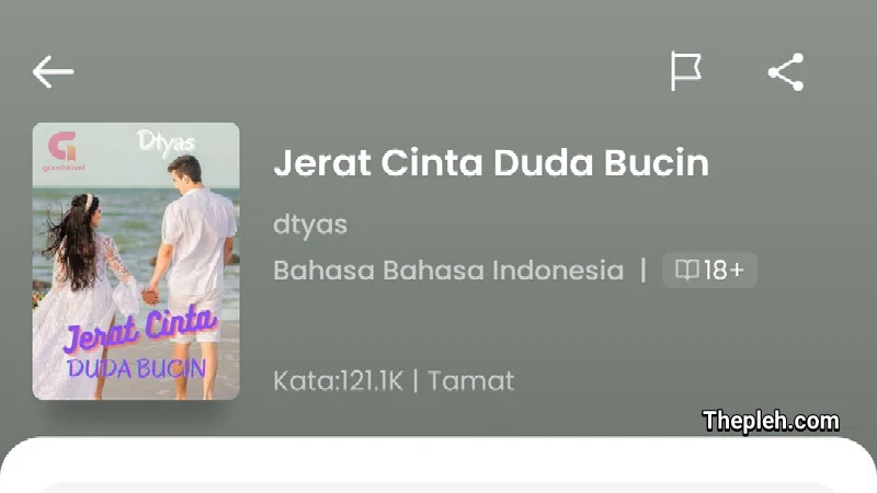 Novel Jerat Cinta Duda Bucin Full Bab