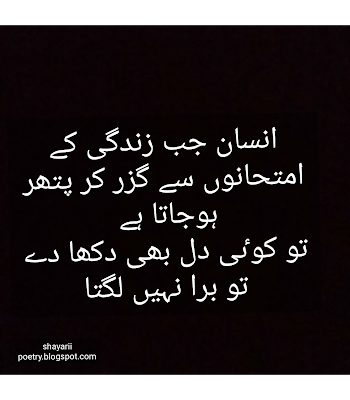 quotes in urdu