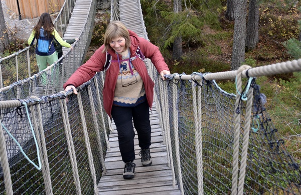 bjørneparken flå