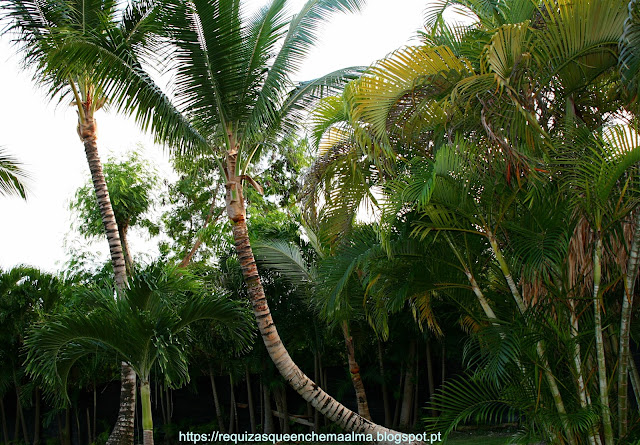 REPÚBLICA DOMINICANA Praia Resort Bahia Principe