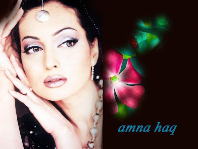 Amna Haq Biography Latest Biography 2012 Collection