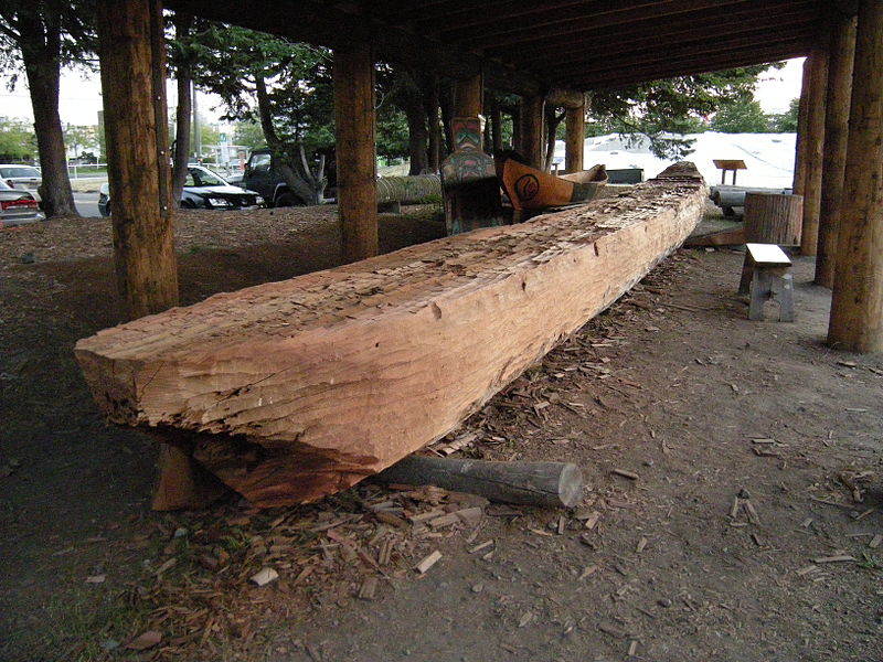 Tree Notes: Dugout Canoes