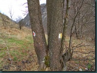 DSCN8736