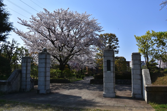 20170414 DSC 0517
